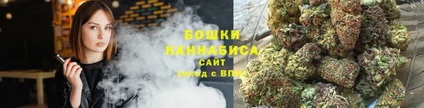 Альфа ПВП Лагань