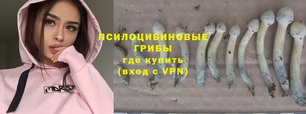 Альфа ПВП Лагань