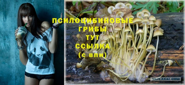 гидра Лабытнанги