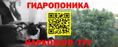 метадон Гай