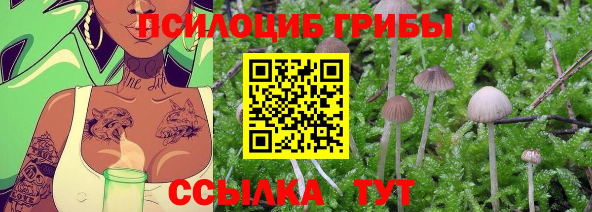 Галлюциногенные грибы MAGIC MUSHROOMS Иркутск