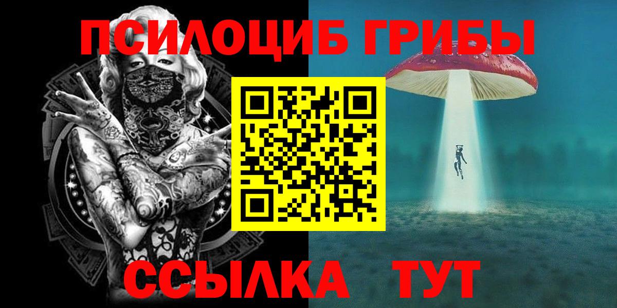 Галлюциногенные грибы Psilocybine cubensis  Иркутск 